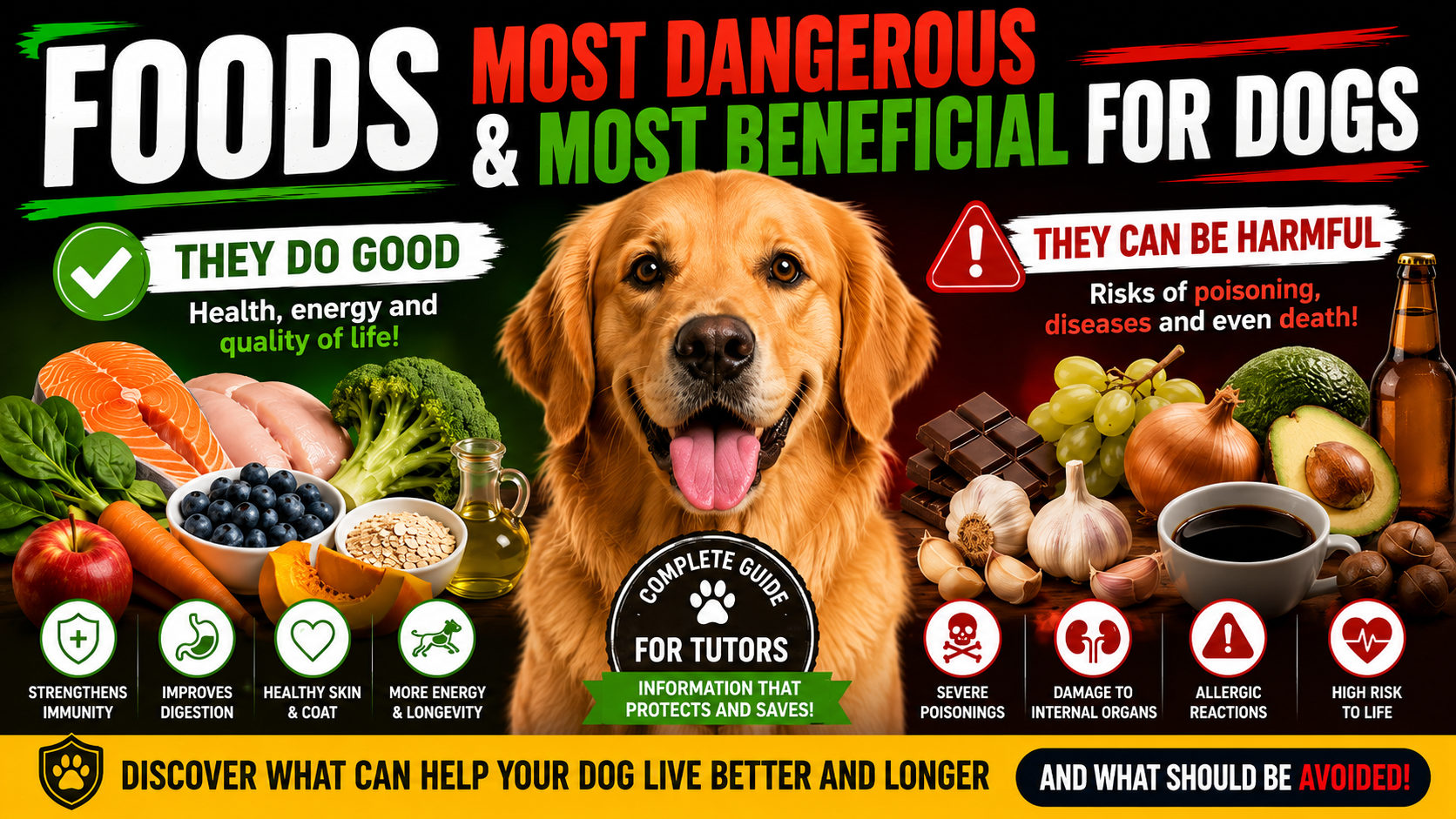 The Most Harmful and Most Beneficial Foods for Dogs